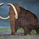 Illustration for article titled No, we wont be able to clone a woolly mammoth in the next five years